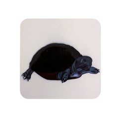Kaplumbağa Kare Sticker Logo Patch Modeli